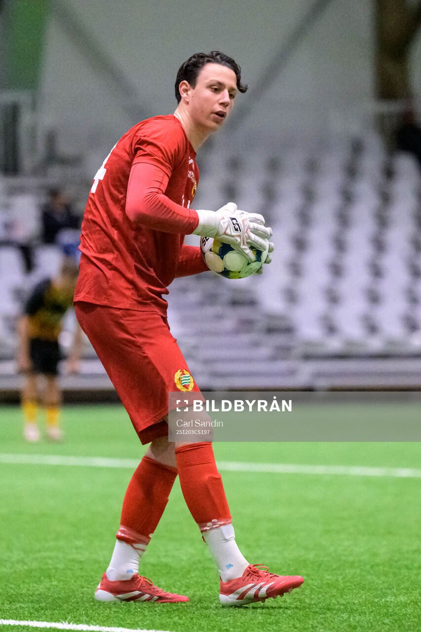 Hammarbys målvakt Leon Cornaire
