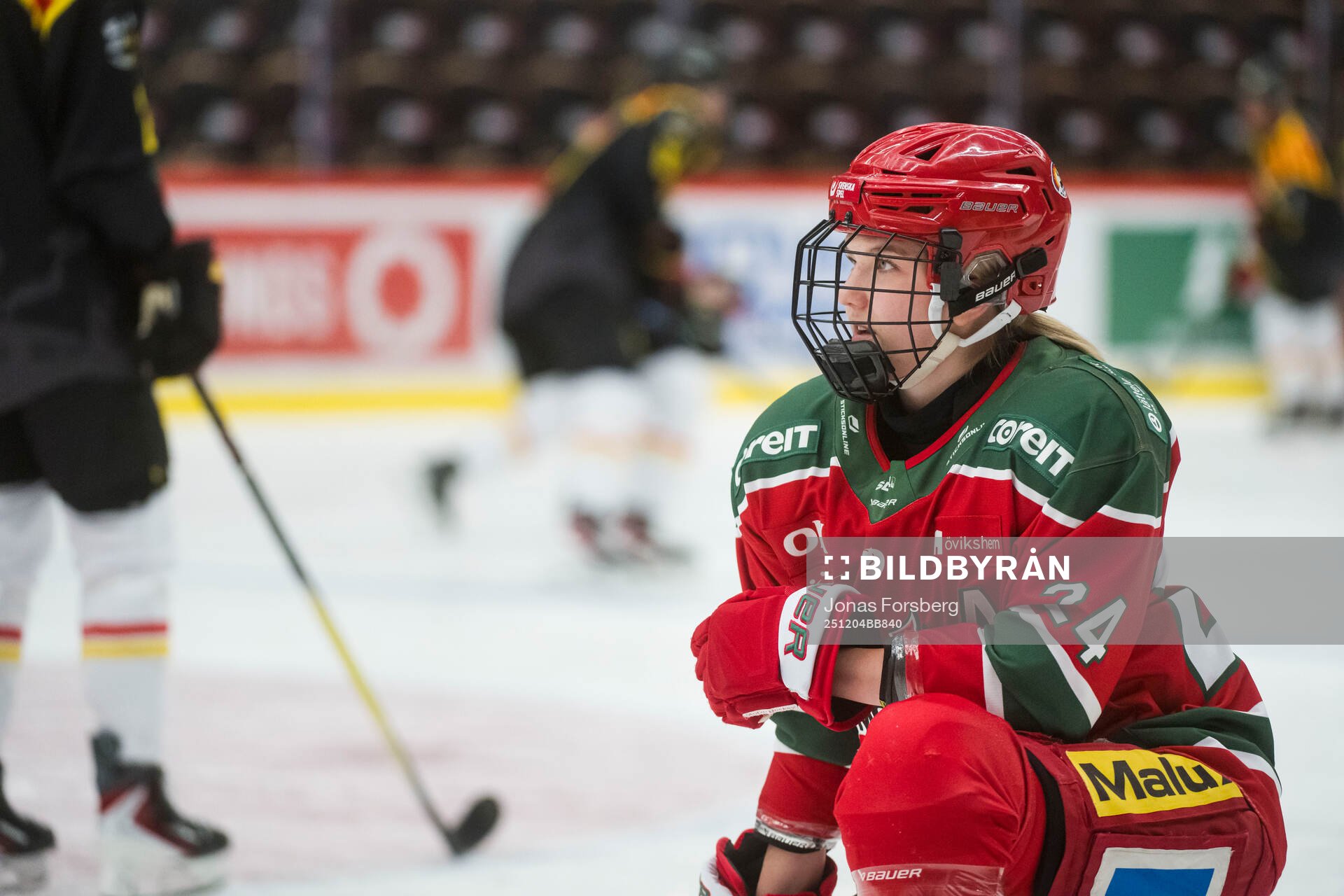Modos Ebba Hedqvist