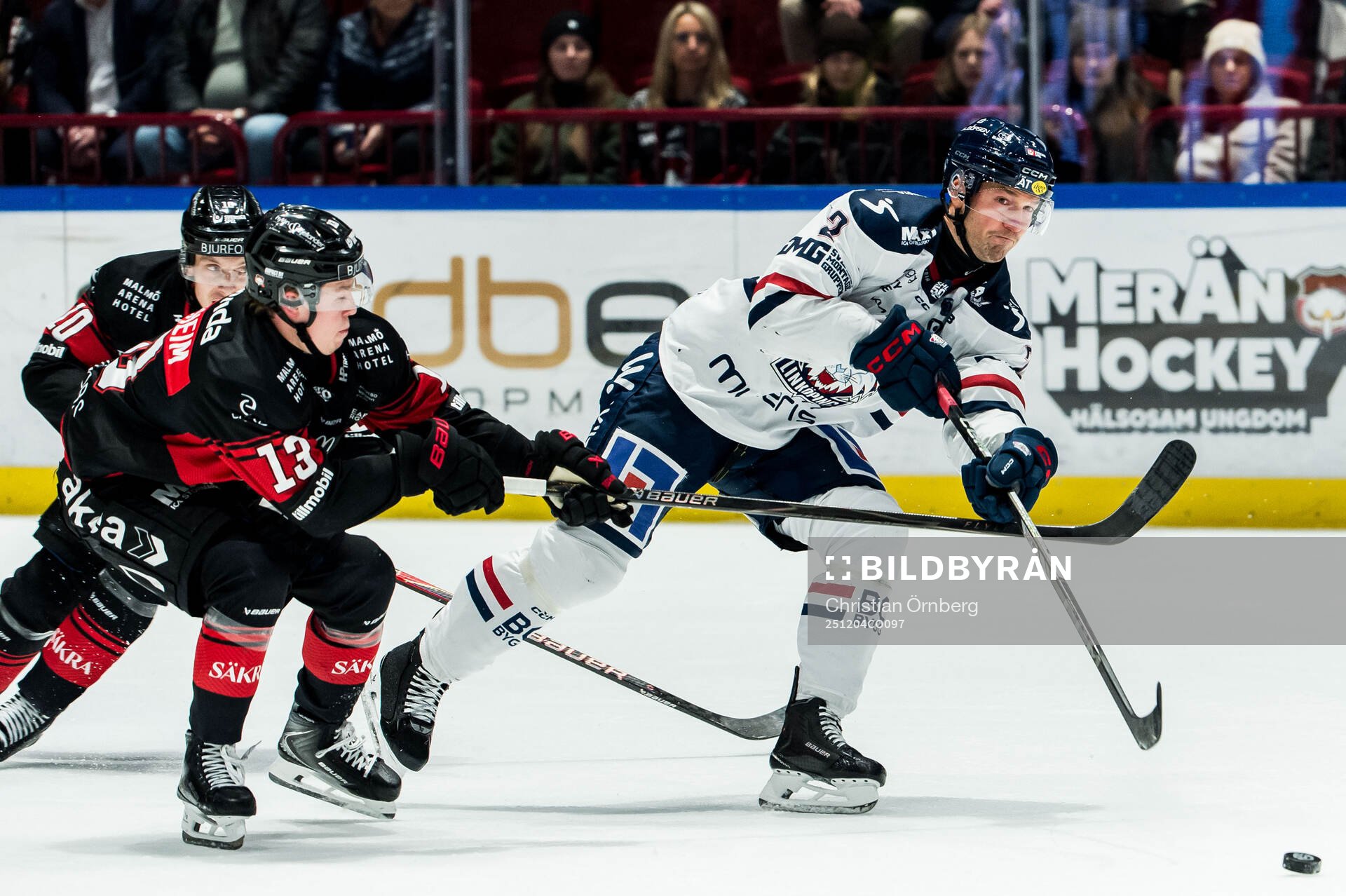 Malmö Redhawks Petter Vesterheim och Linköpings Rasmus
