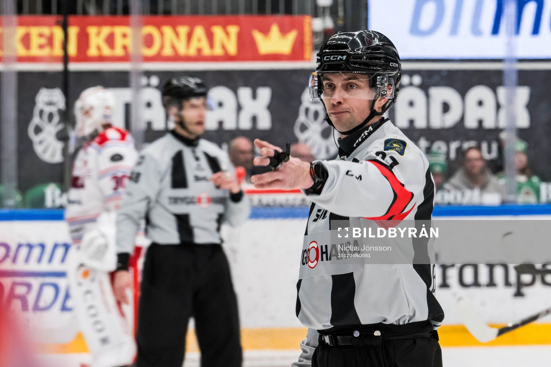Domare Johan Wedin