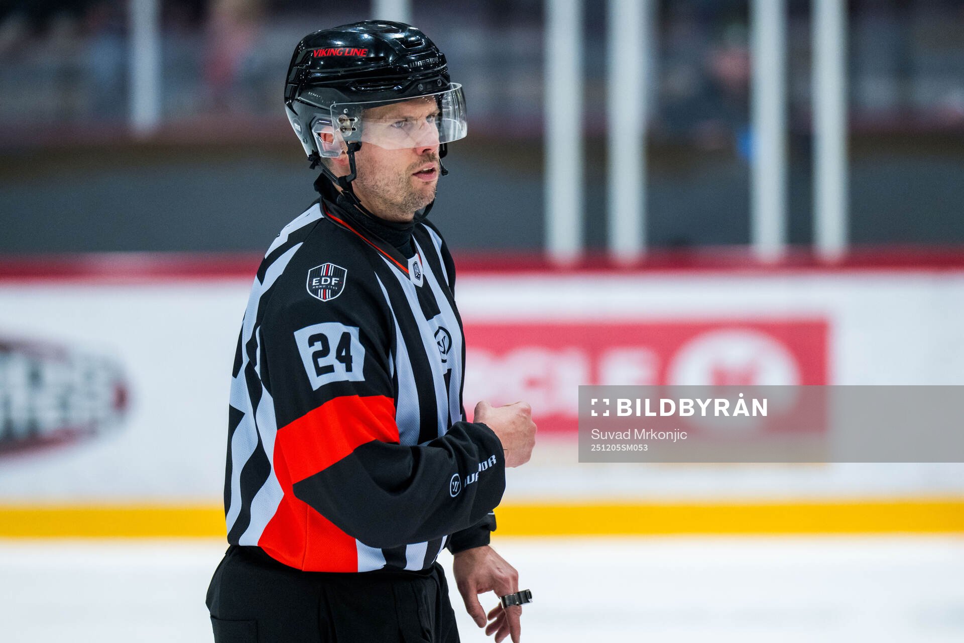 Domare Johan Magnusson
