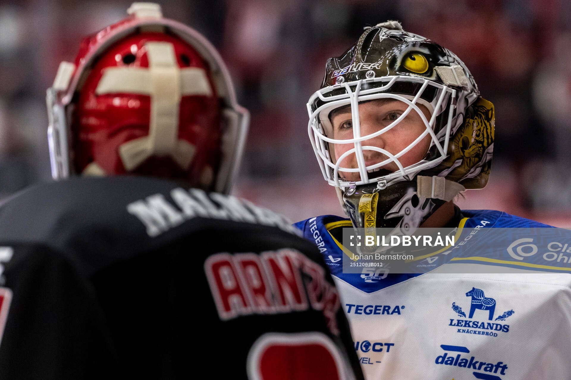 Örebros målvakt Jonas Arntzen och Leksands målvakt Robin