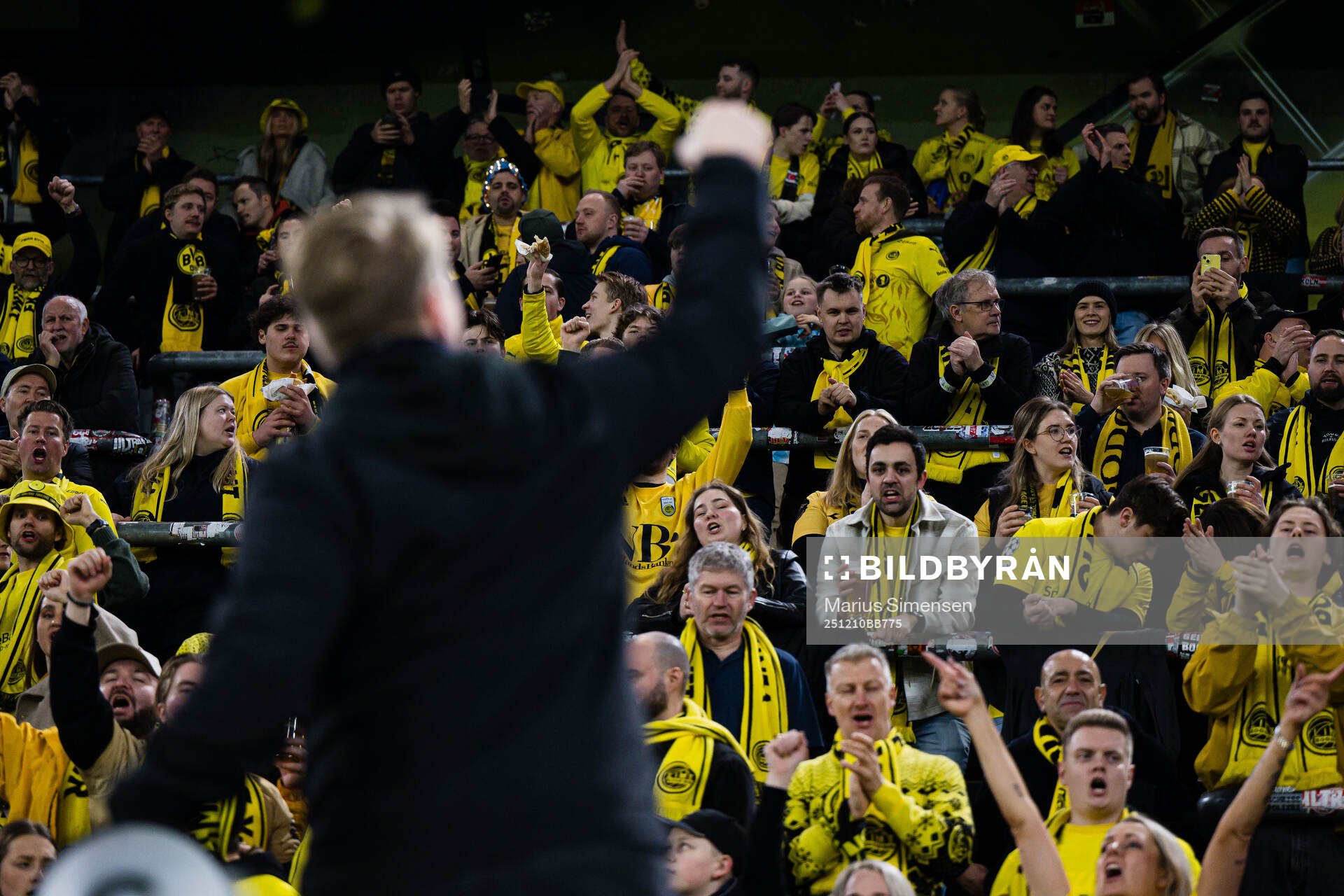 Spectators in the stands