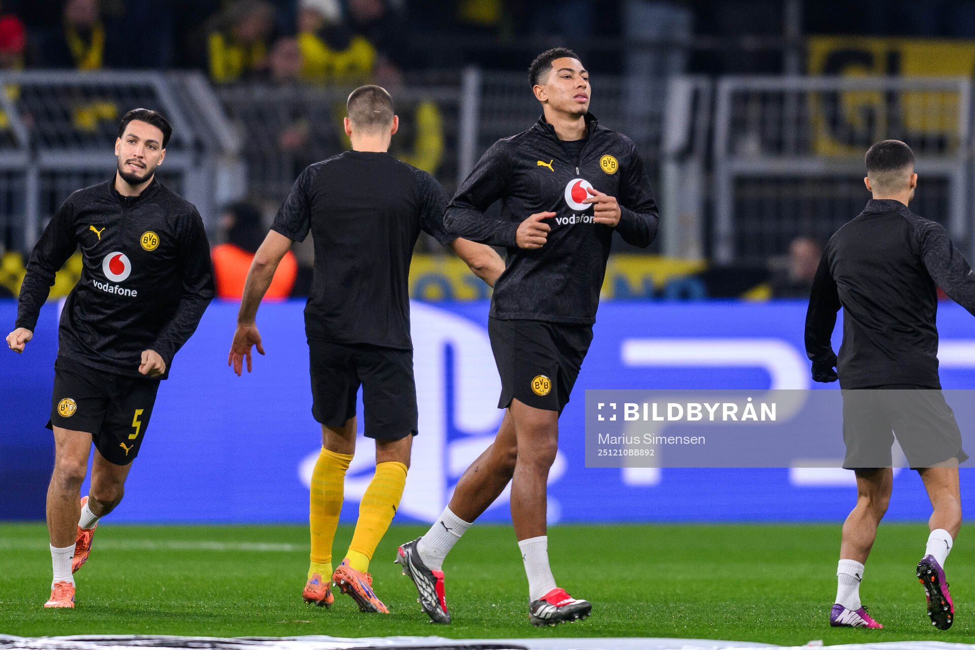 Serhou Guirassy of Borussia Dortmund