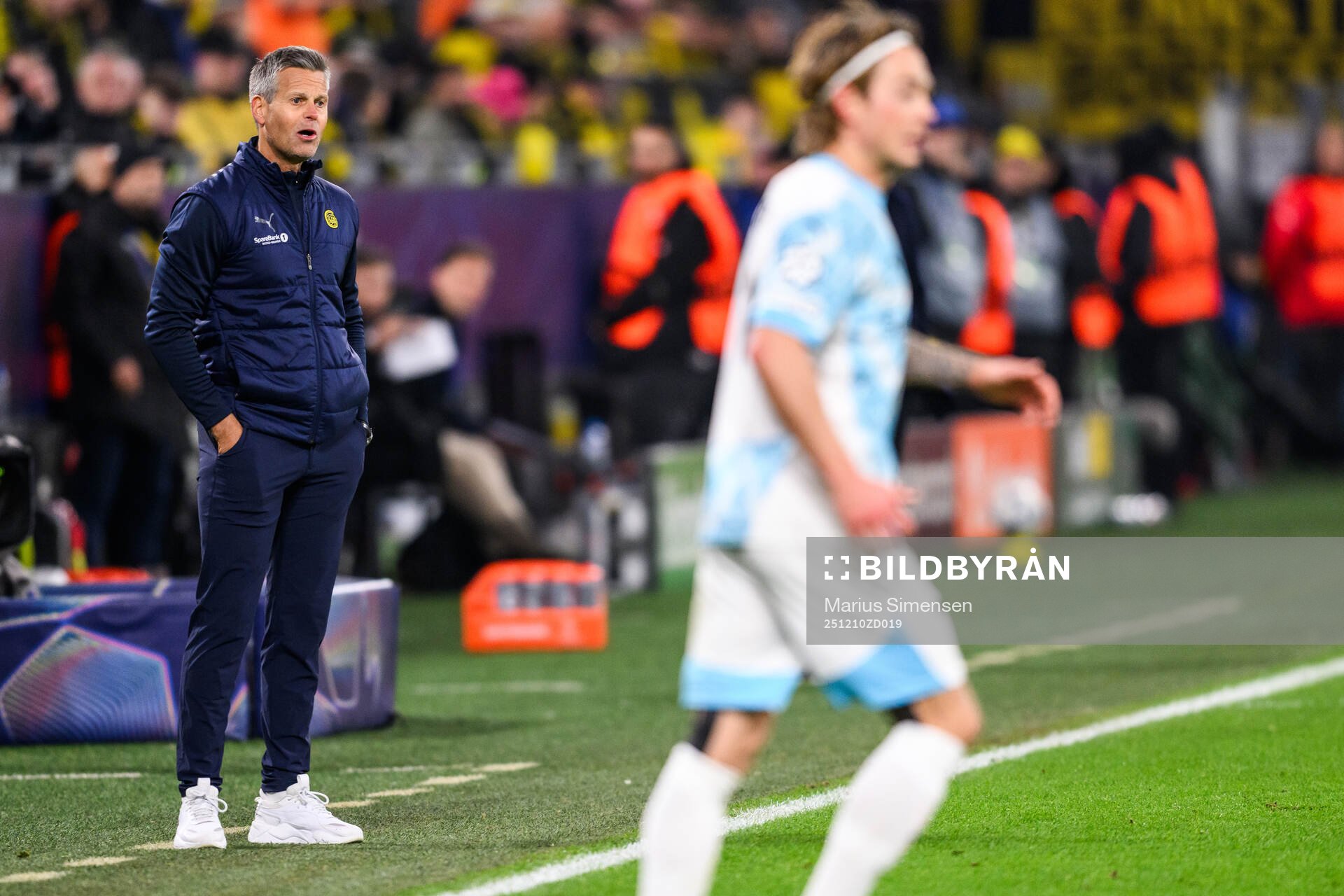 Head coach Kjetil Knutsen of Bodø/Glimt