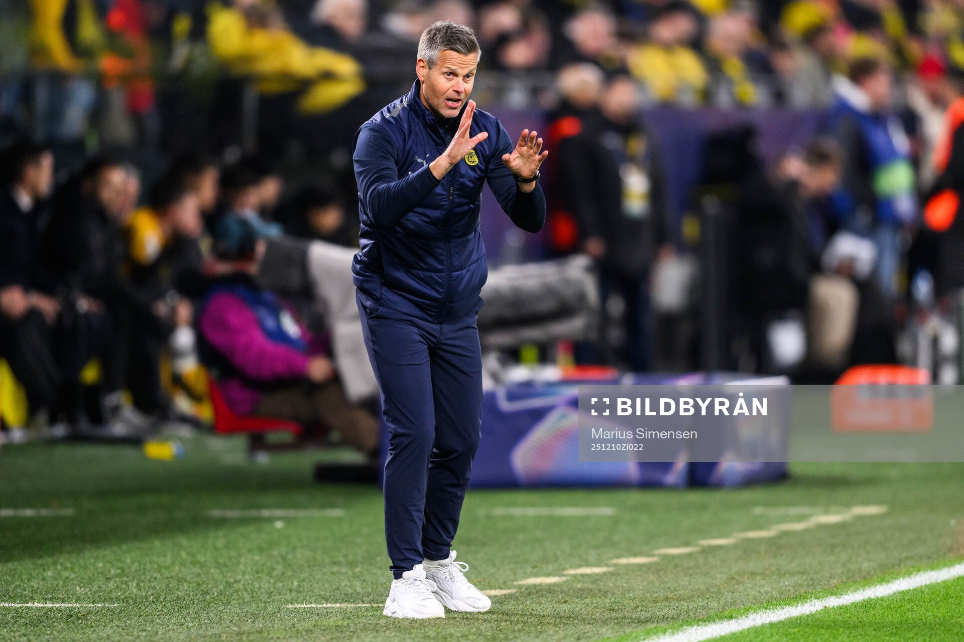 Head coach Kjetil Knutsen of Bodø/Glimt