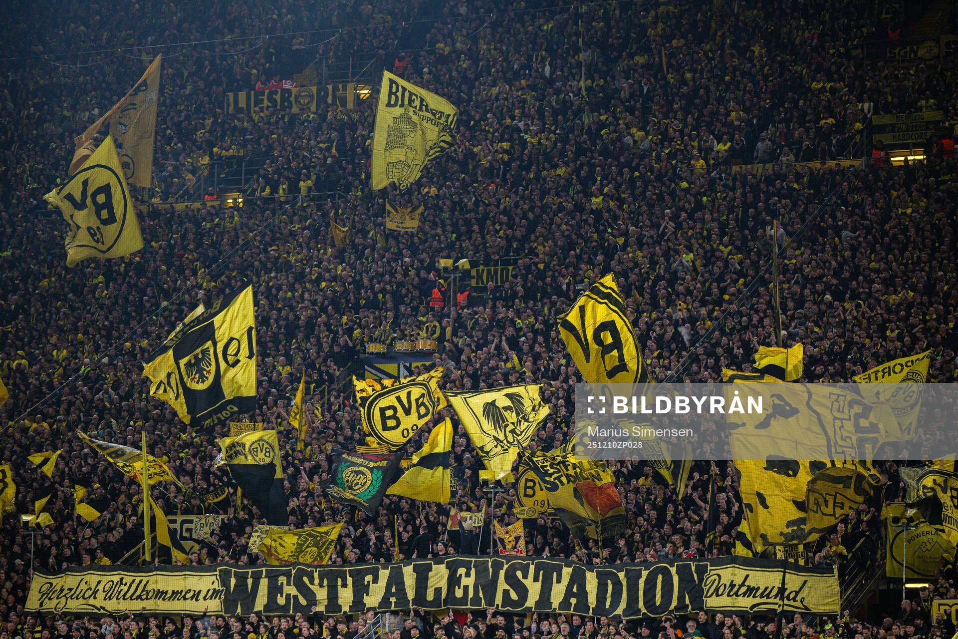 Spectators in the stands