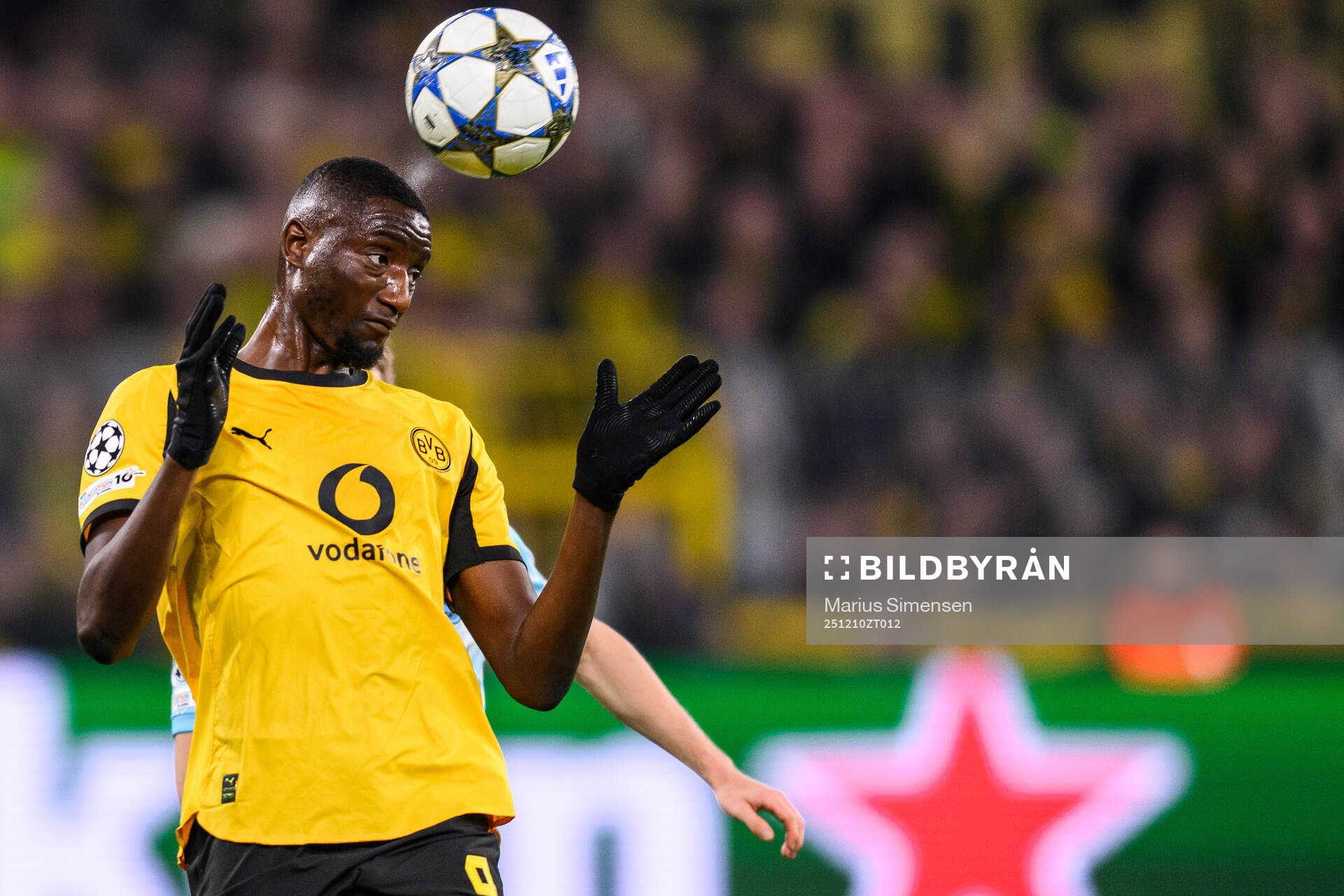 Serhou Guirassy of Borussia Dortmund