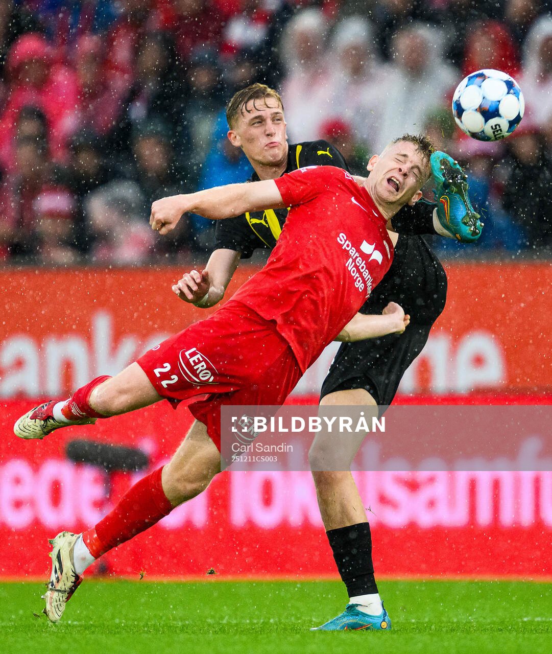 This picture is part of Bildbyrån’s selection of best