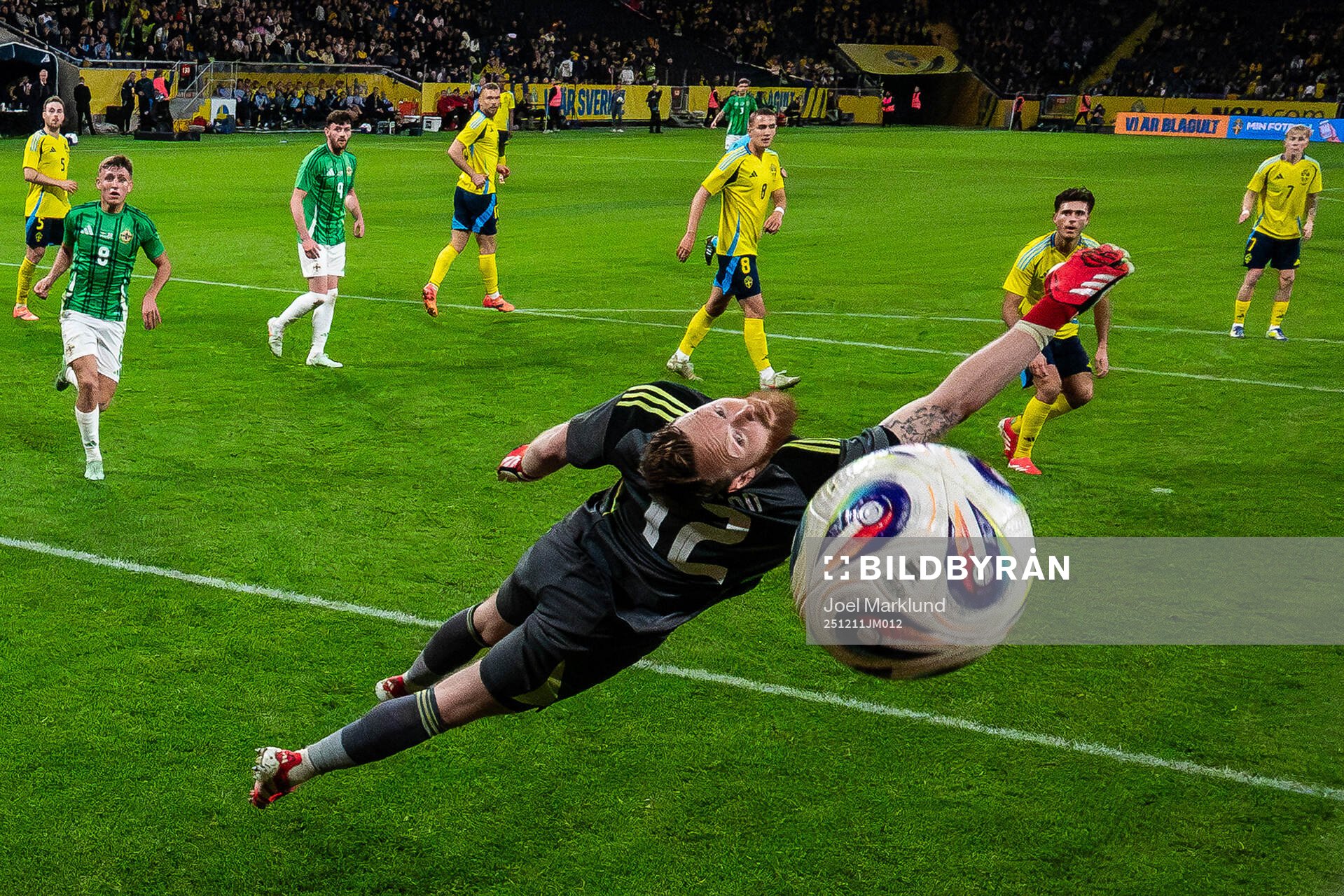 This picture is part of Bildbyrån’s selection of best