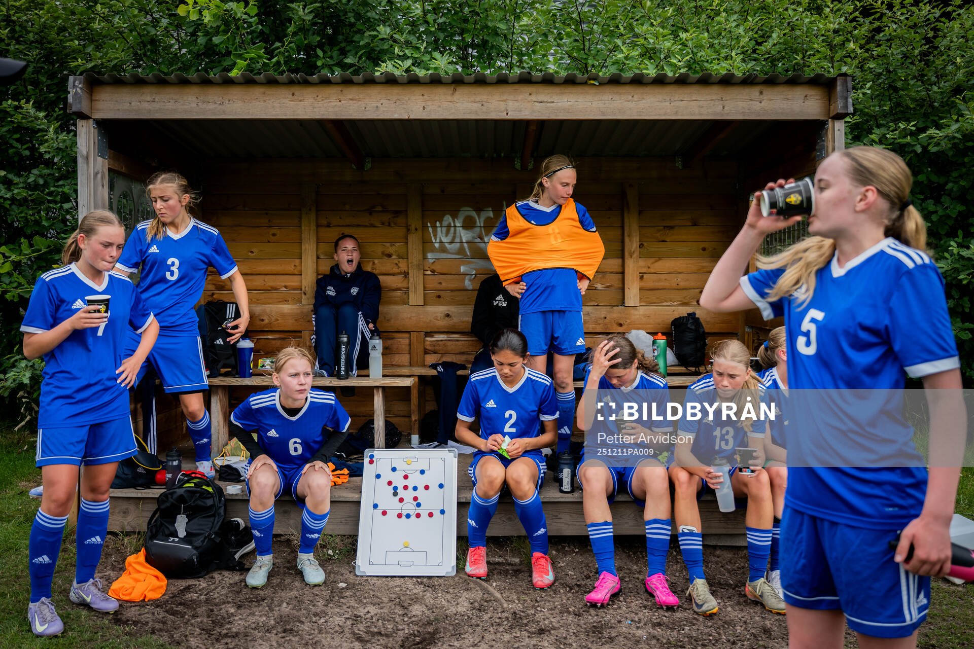 This picture is part of Bildbyrån’s selection of best