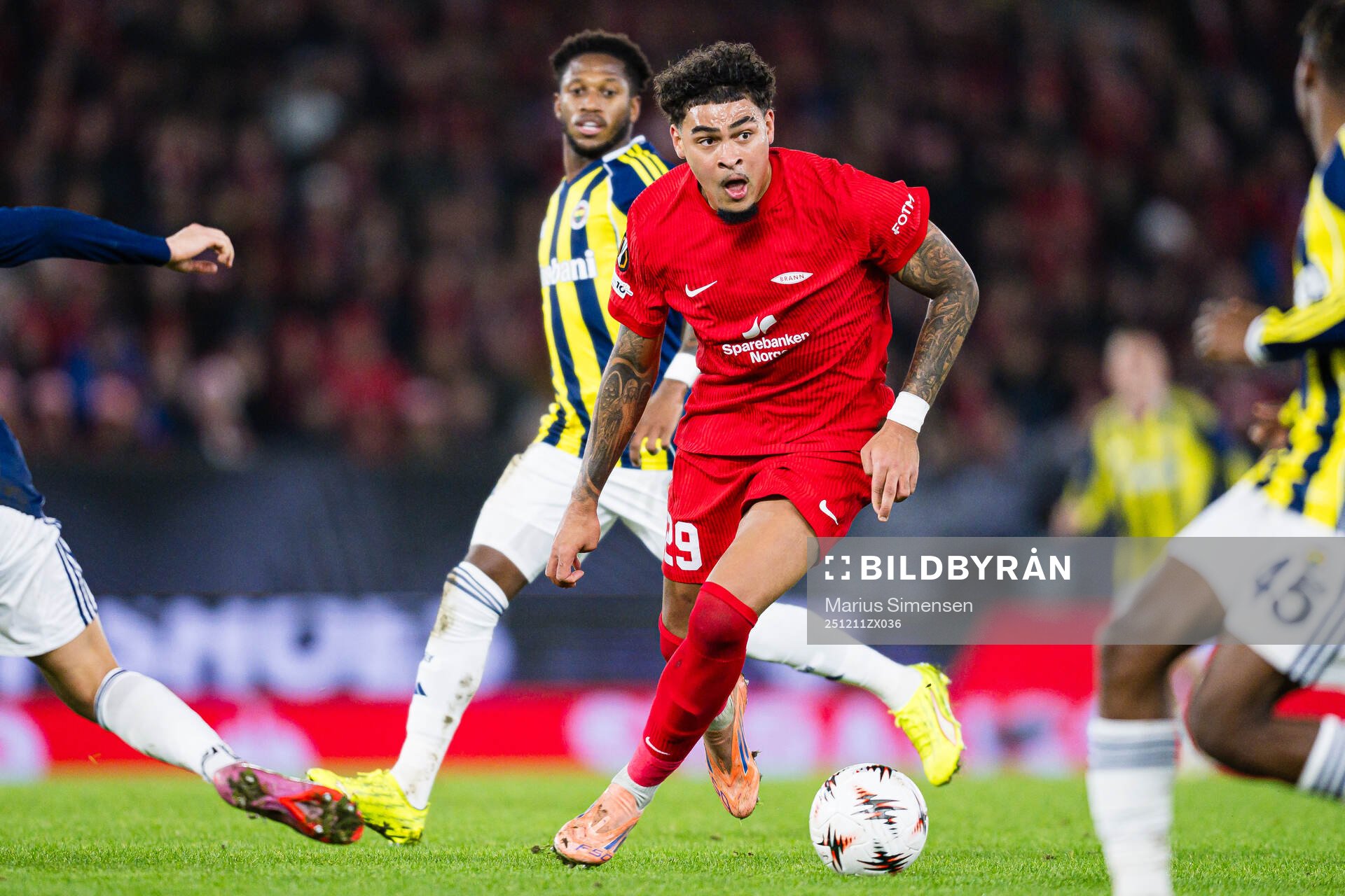 Noah Jean Holm of Brann