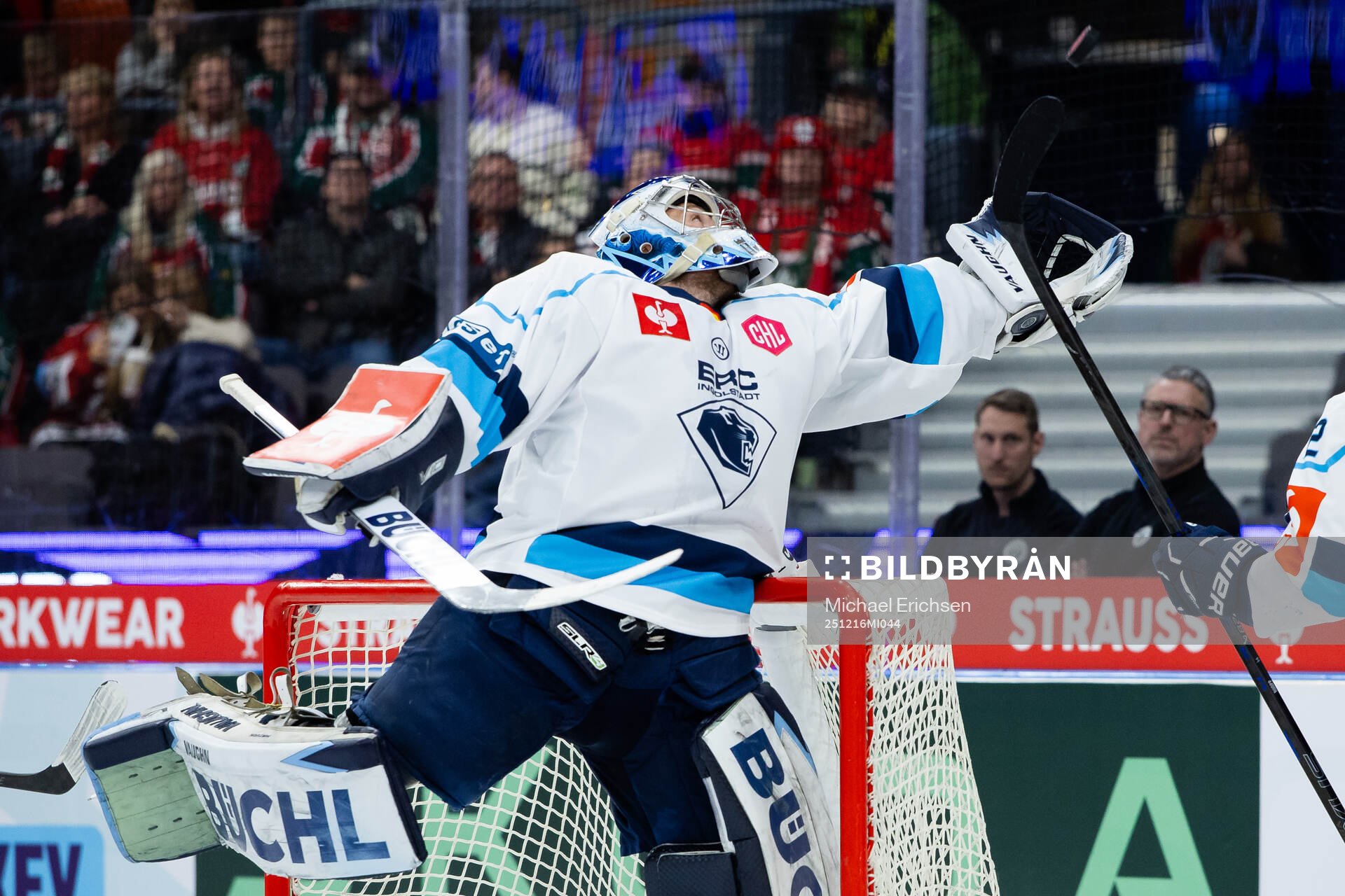 Goaltender Nico Pertuch of Ingolstadt