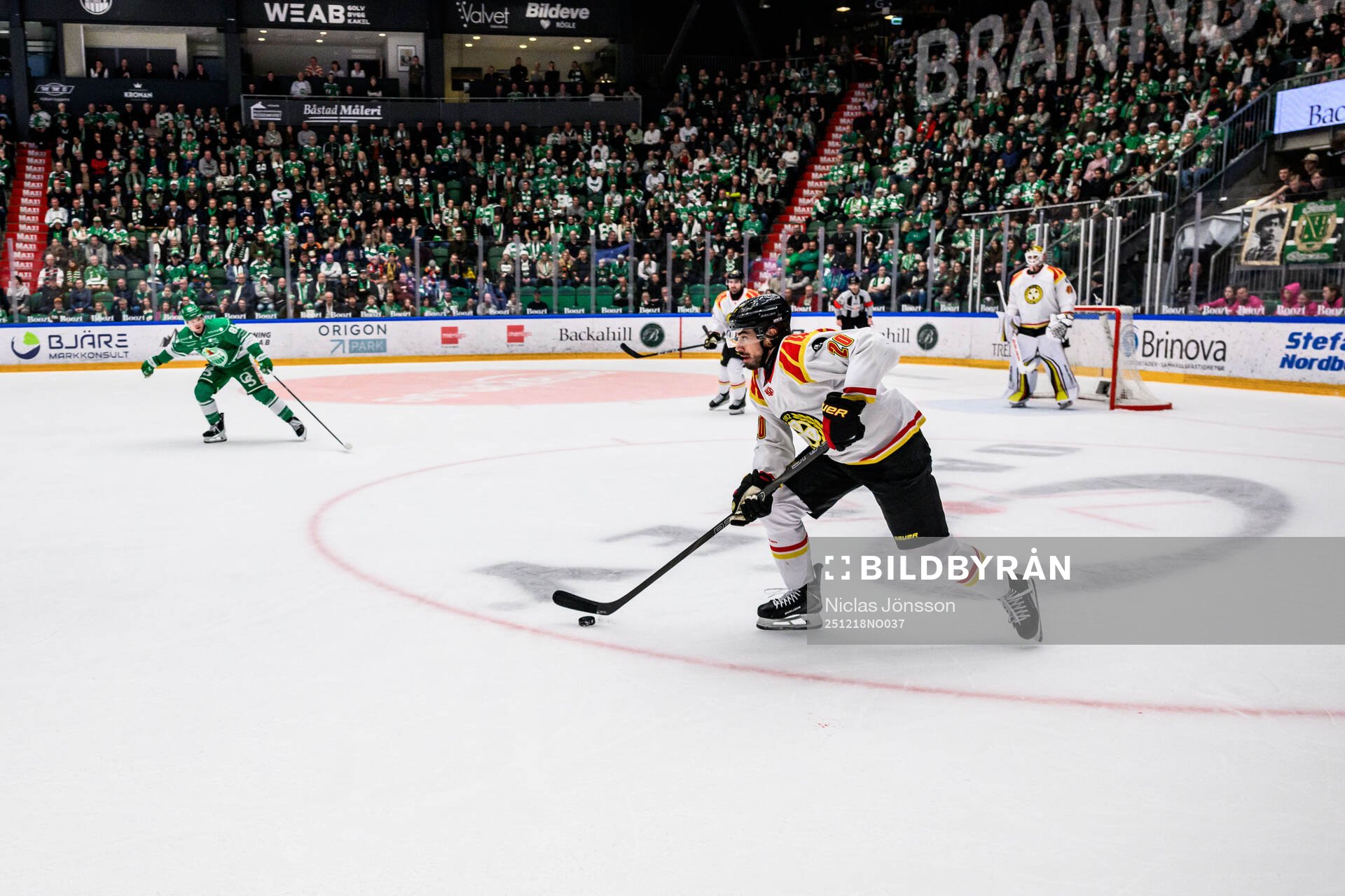Brynäs Tyler Vesel