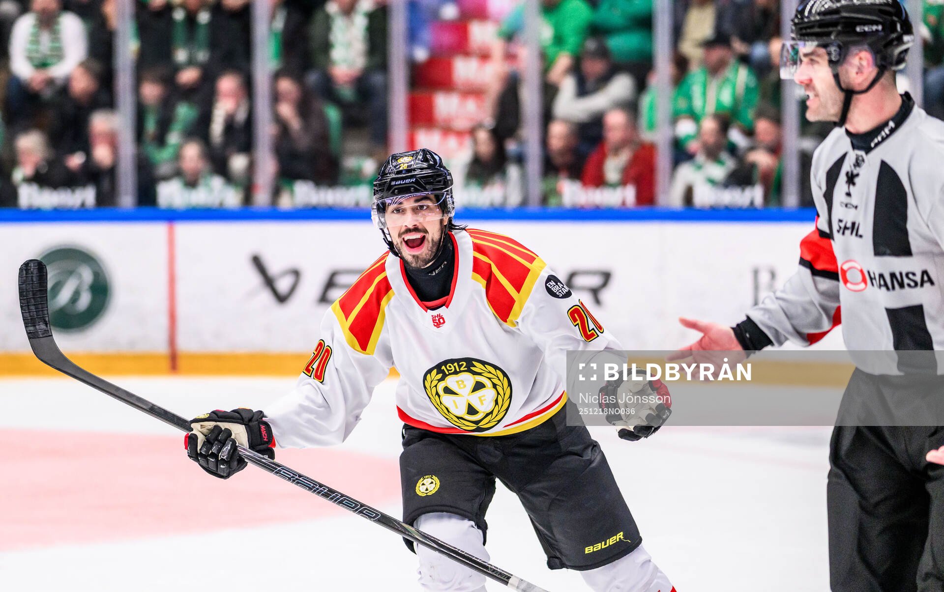 Brynäs Tyler Vesel reagerar på ett domslut