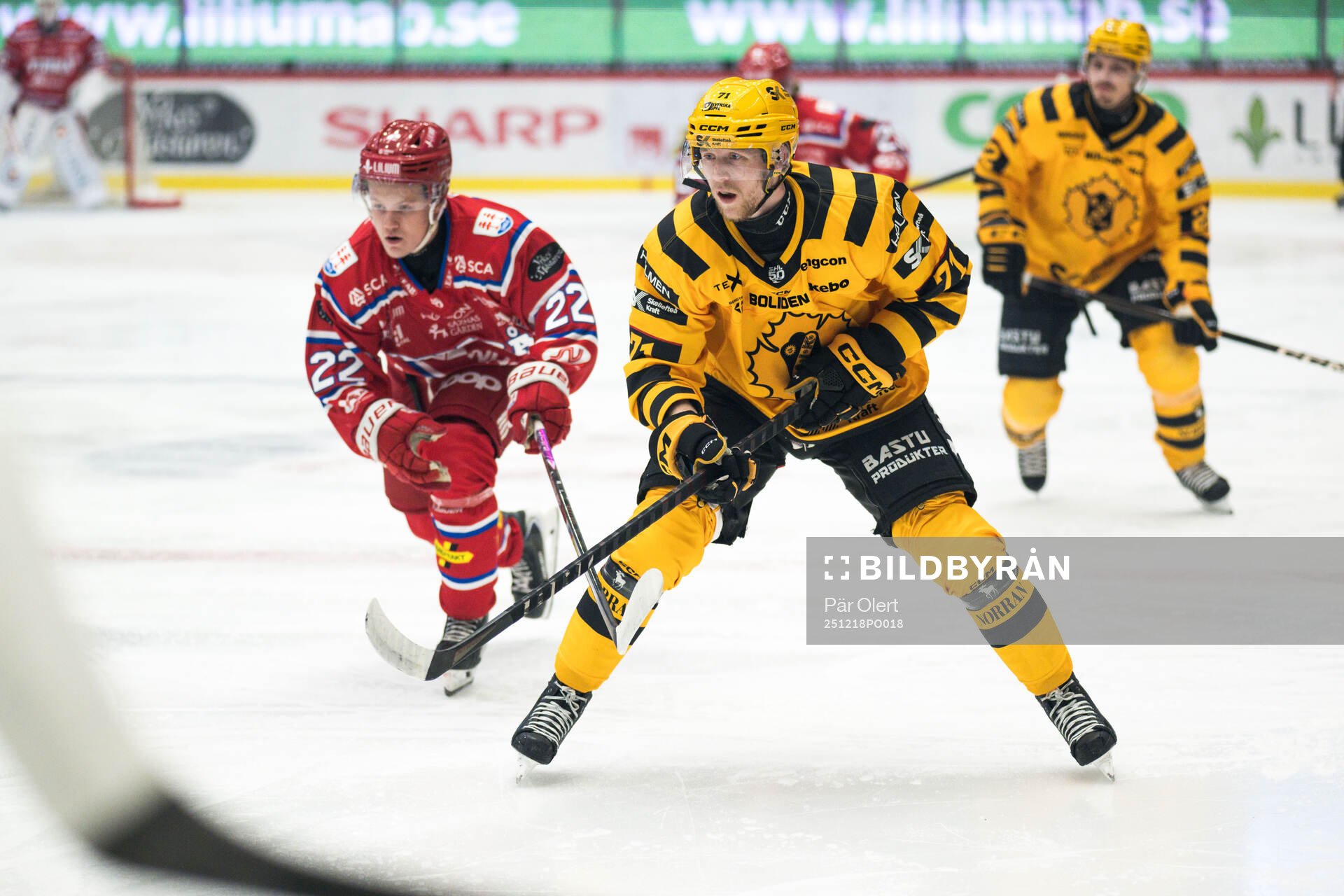 Timrås Edwin Annerstedt och Skellefteås Jonathan Davidsson
