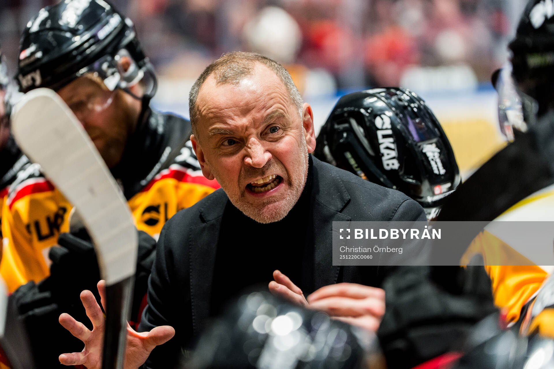 Luleås tränare Thomas Berglund