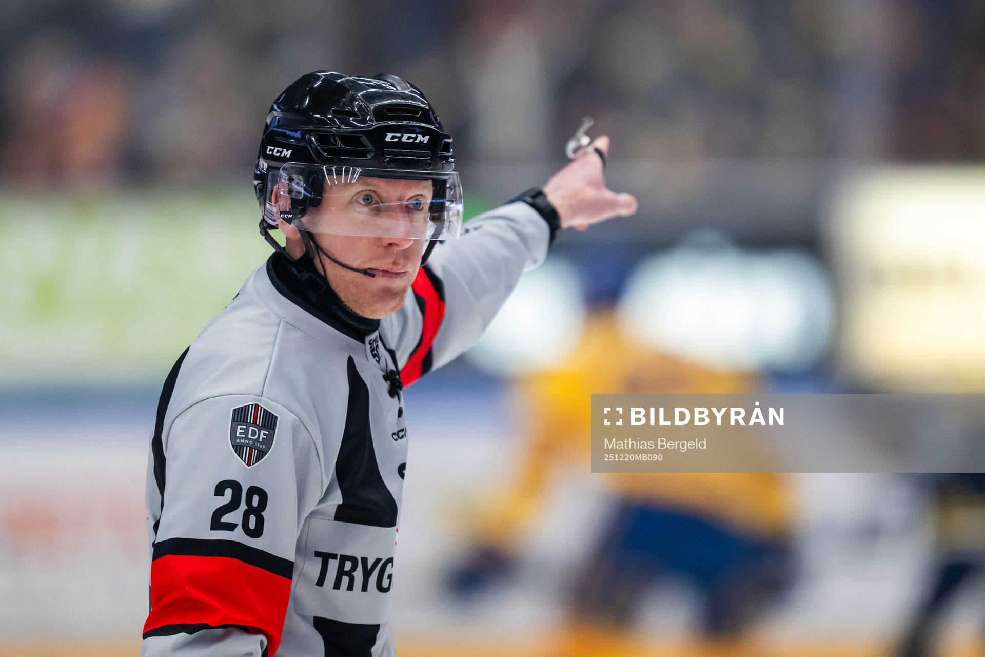 Domare Mikael Holm