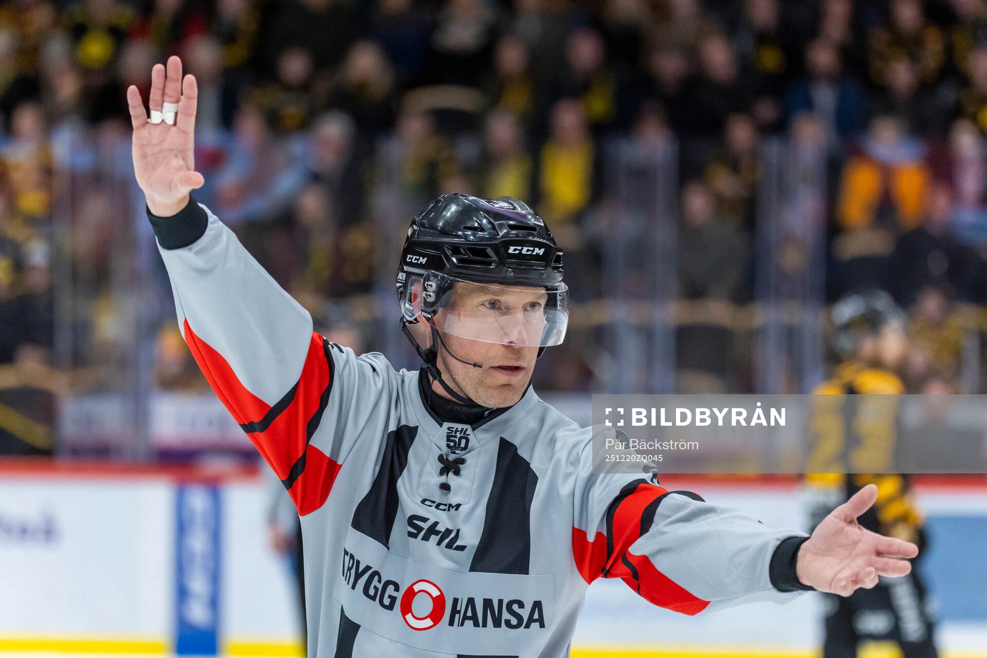 Domaren Tobias Björk