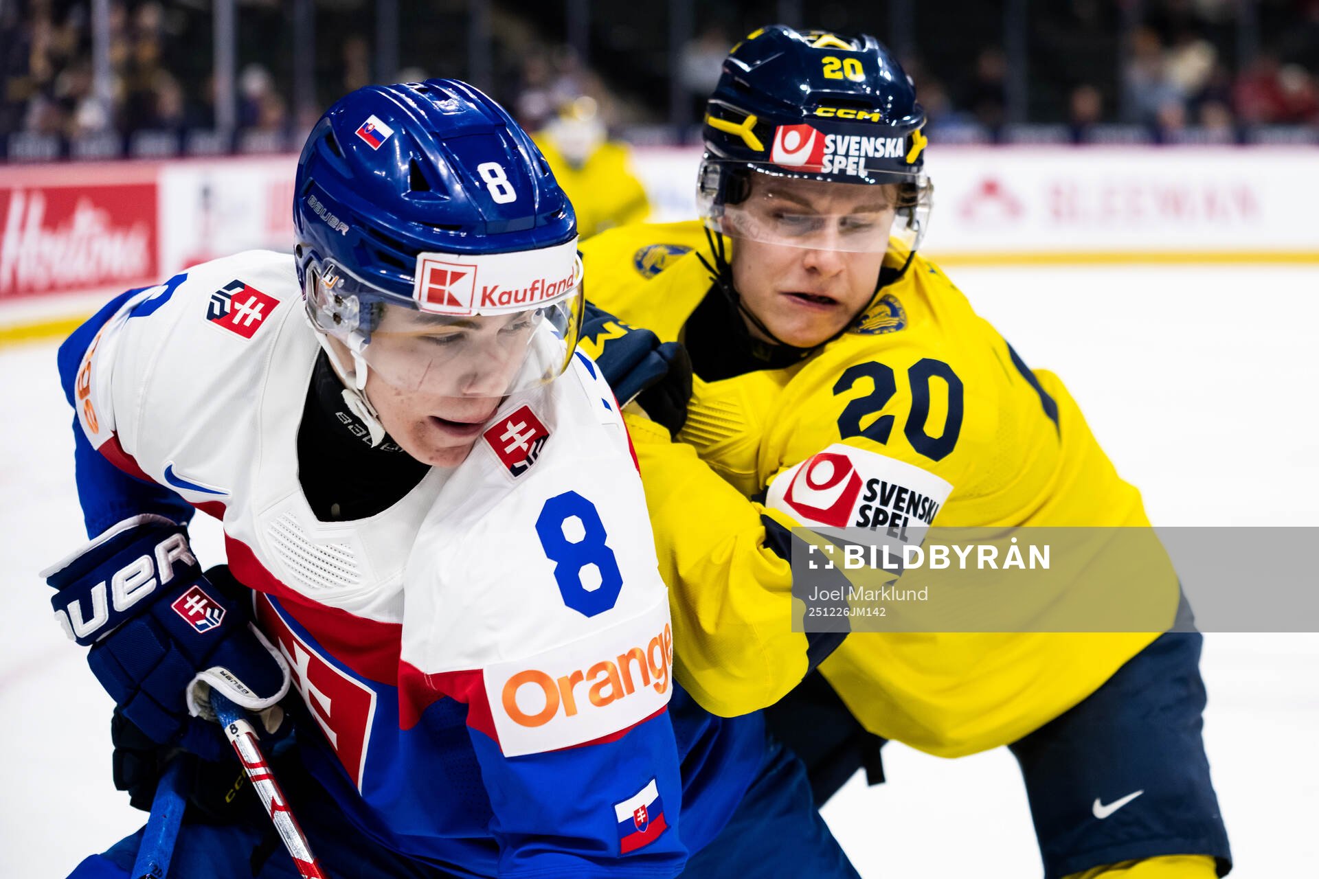 Michal Liscinsky of Slovakia and Alfons Freij of Sweden