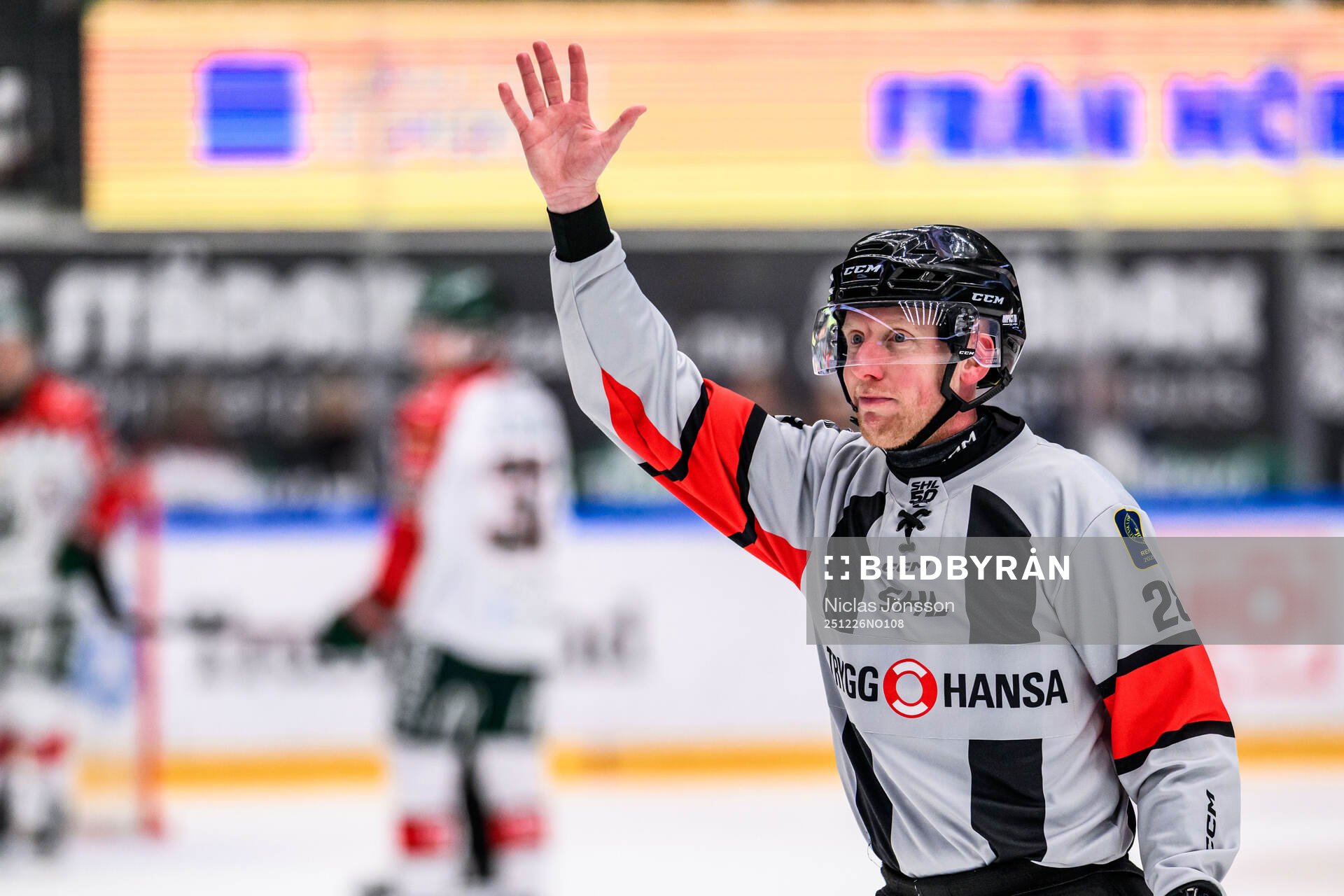 Domare Mikael Holm