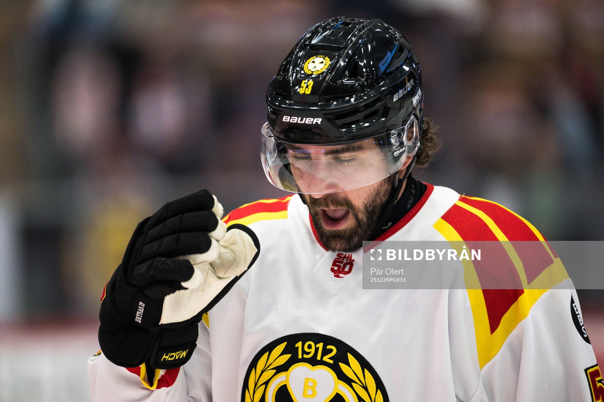 Brynäs Luke Witkowski