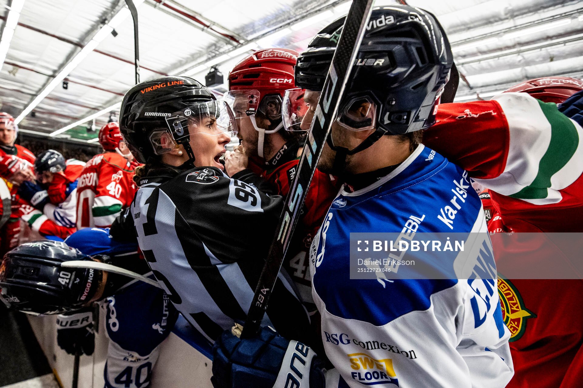 Linjedomare Anna Hammar