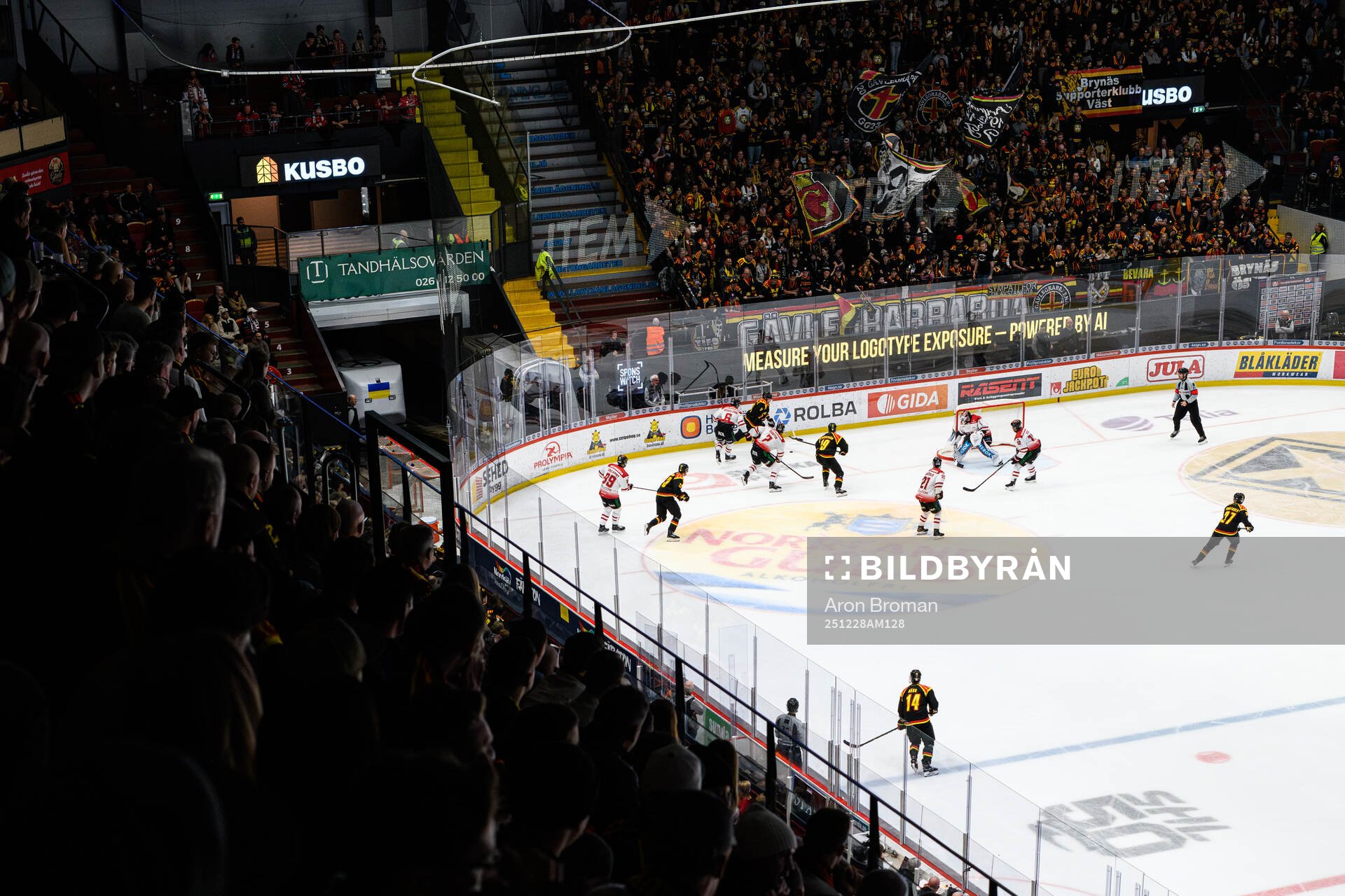 Monitor ERP Arena
