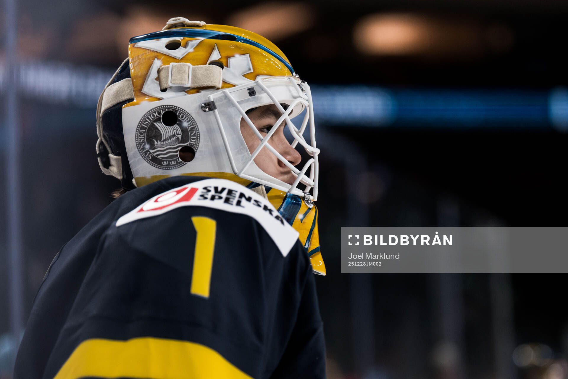Goaltender Herman Liv of Sweden