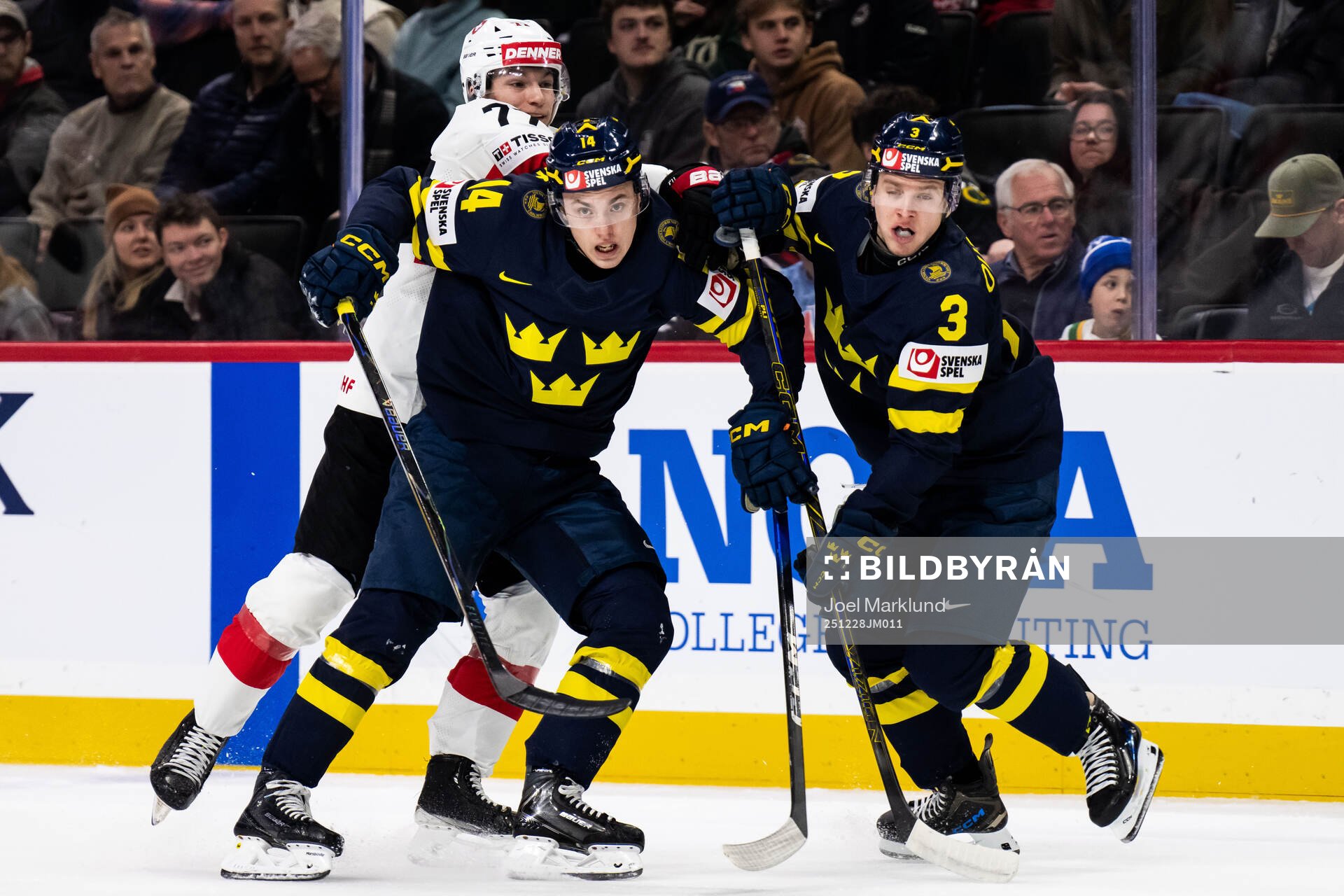 Linus Eriksson and Felix Öhrqvist of Sweden against Loris