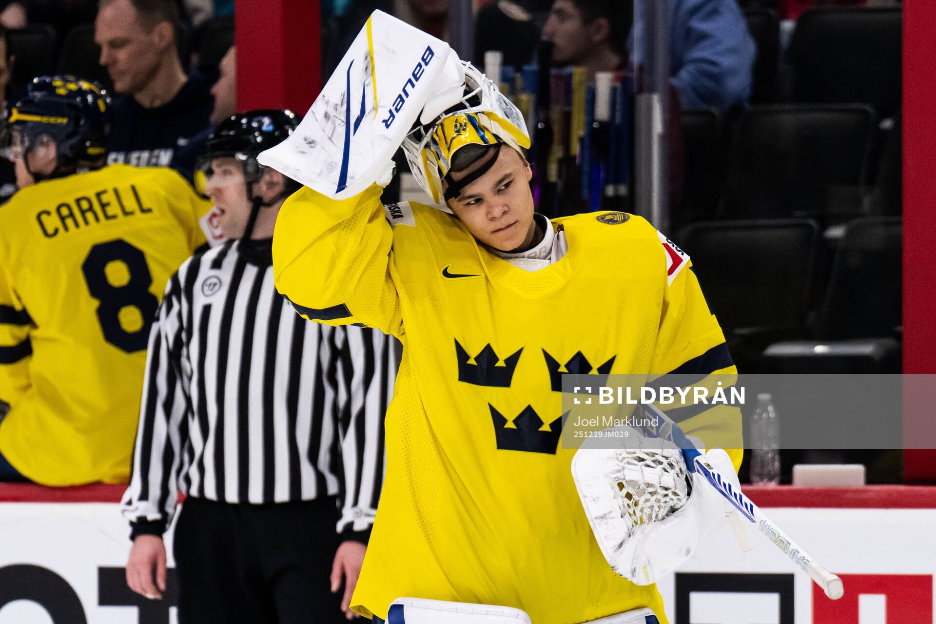 Goaltender Herman Liv of Sweden