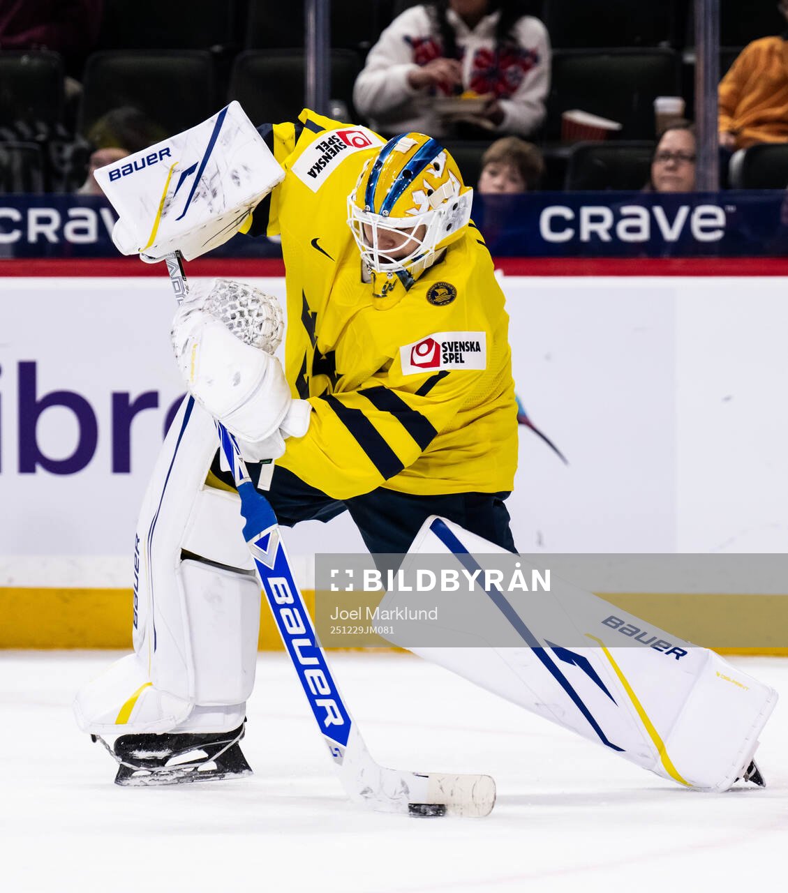 Goaltender Herman Liv of Sweden