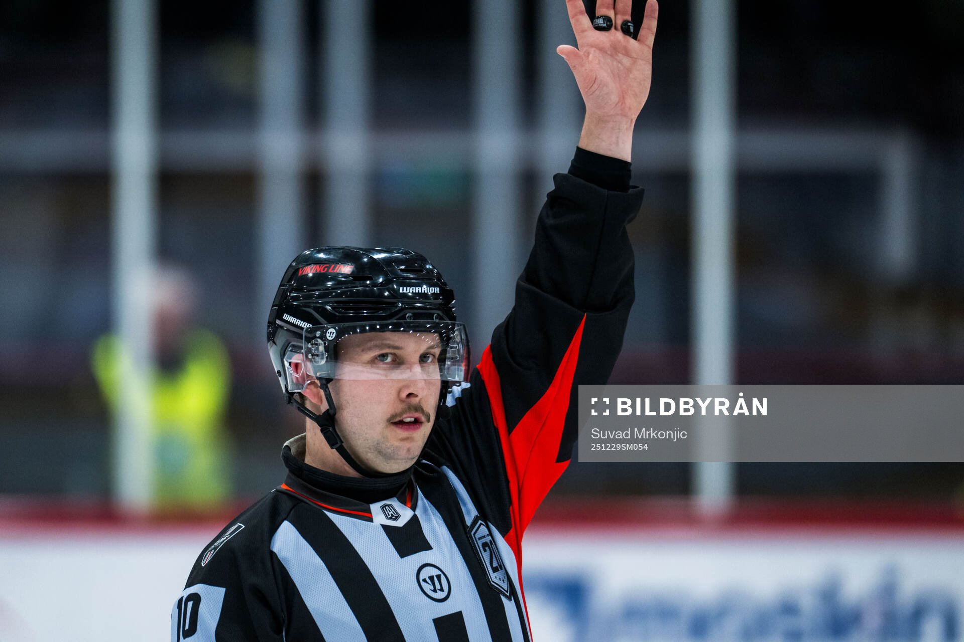 Domare Alex Eriksson