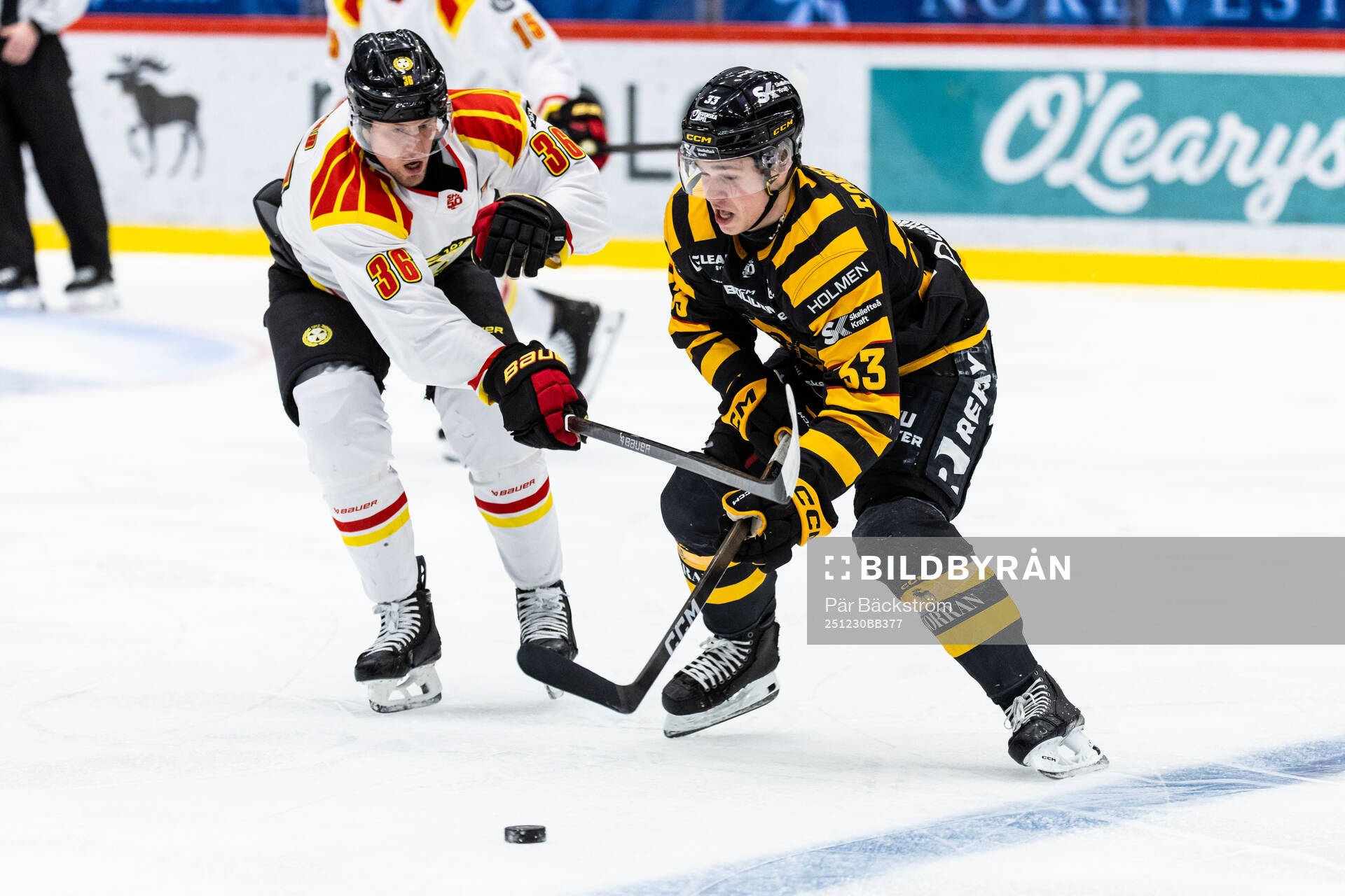 Brynäs Linus Ölund och Skellefteås Zeb Forsfjäll