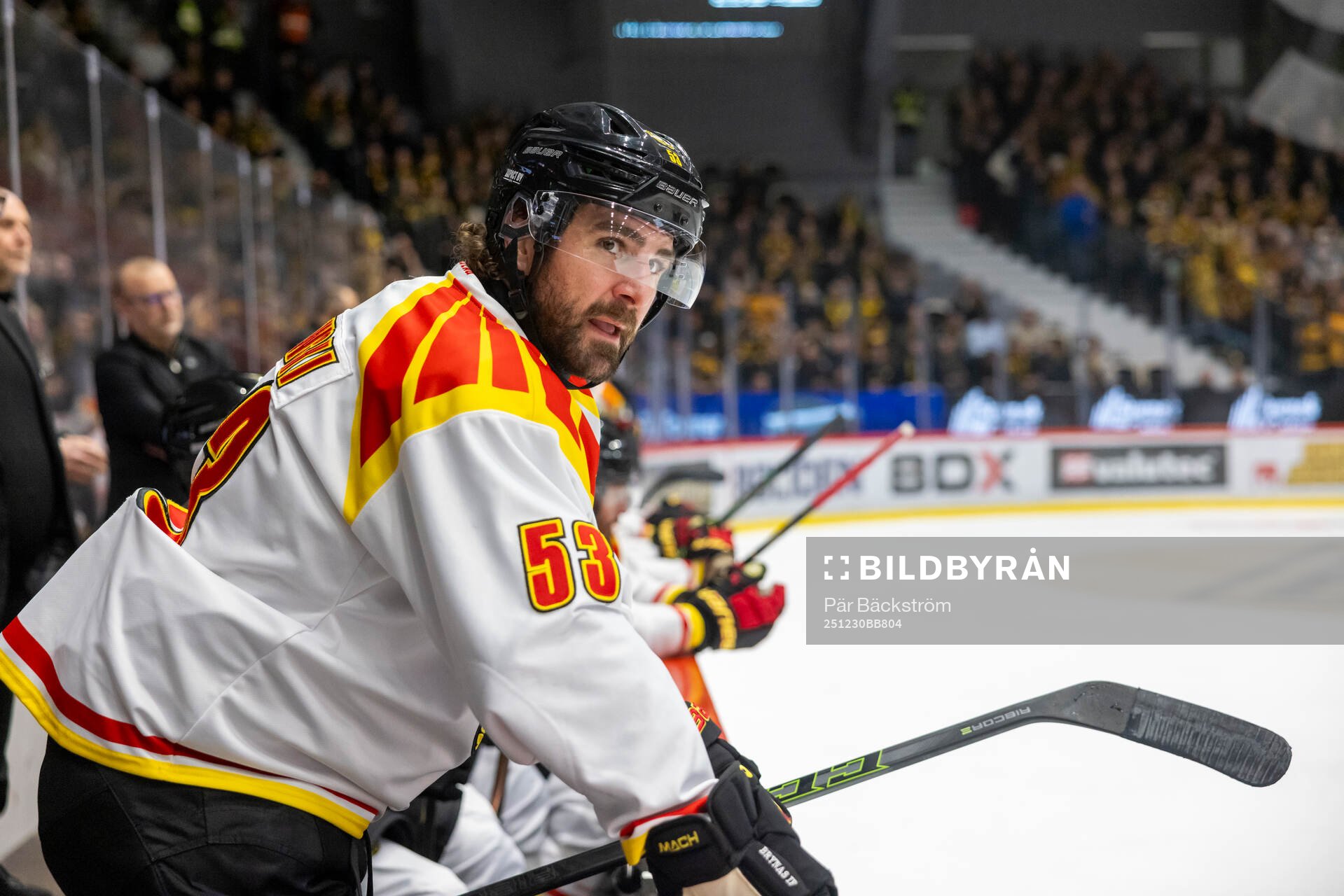 Brynäs Luke Witkowski