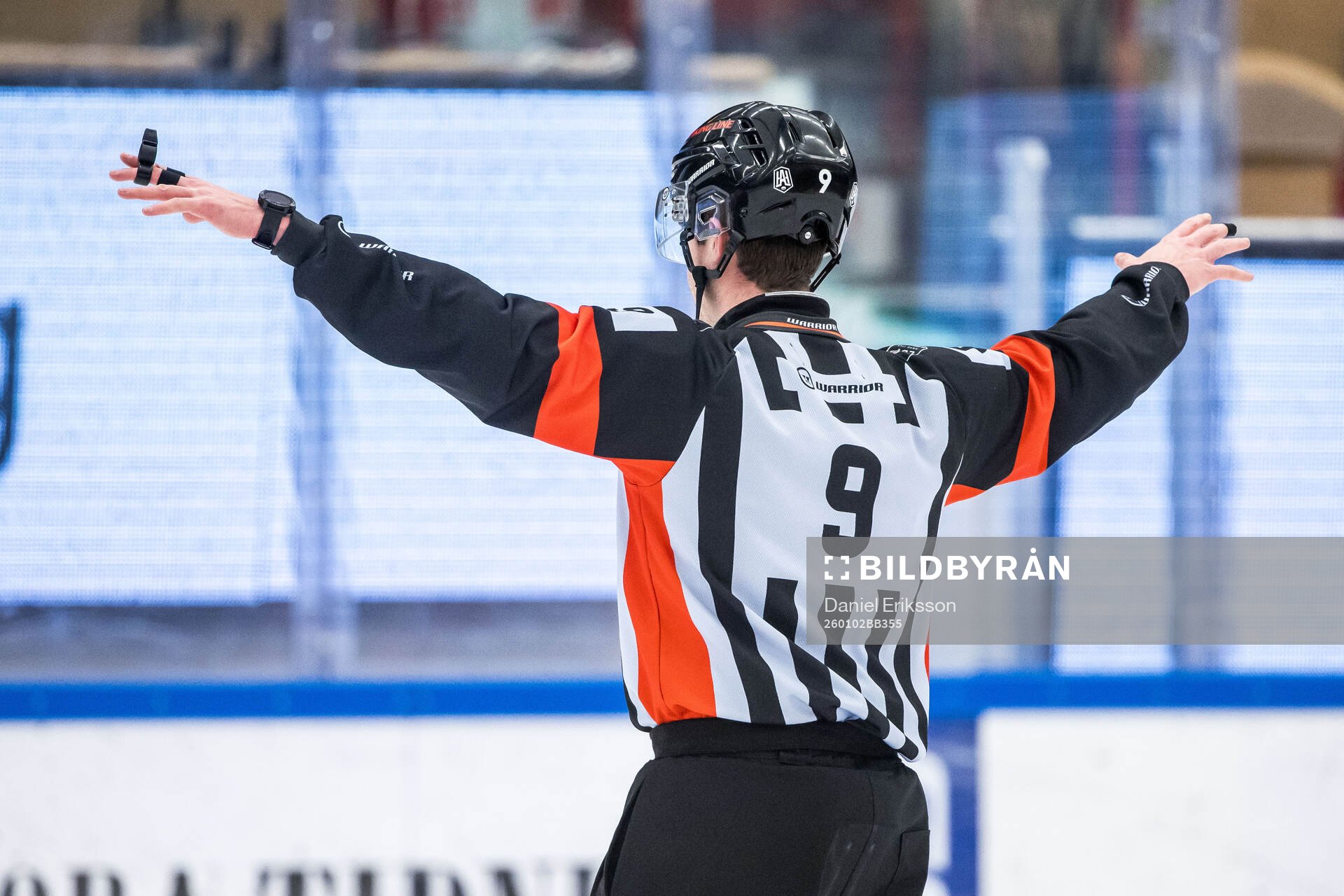 Domare Filip Eriksson