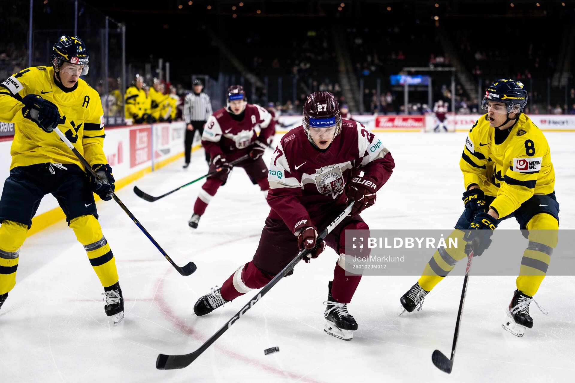 Leo Sahlin Wallenius and Felix Carell of Sweden against