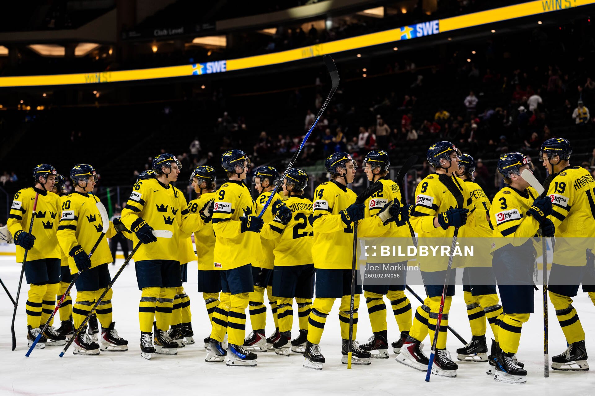 Players of Sweden