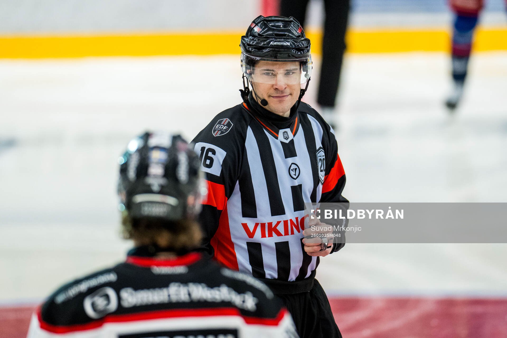 Domare Stefan Leijonklo