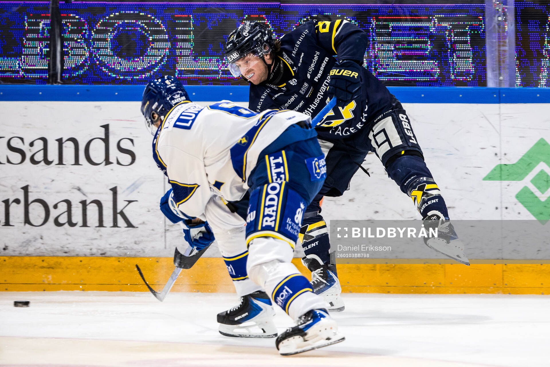 HV71s Justin Glenn Kloos