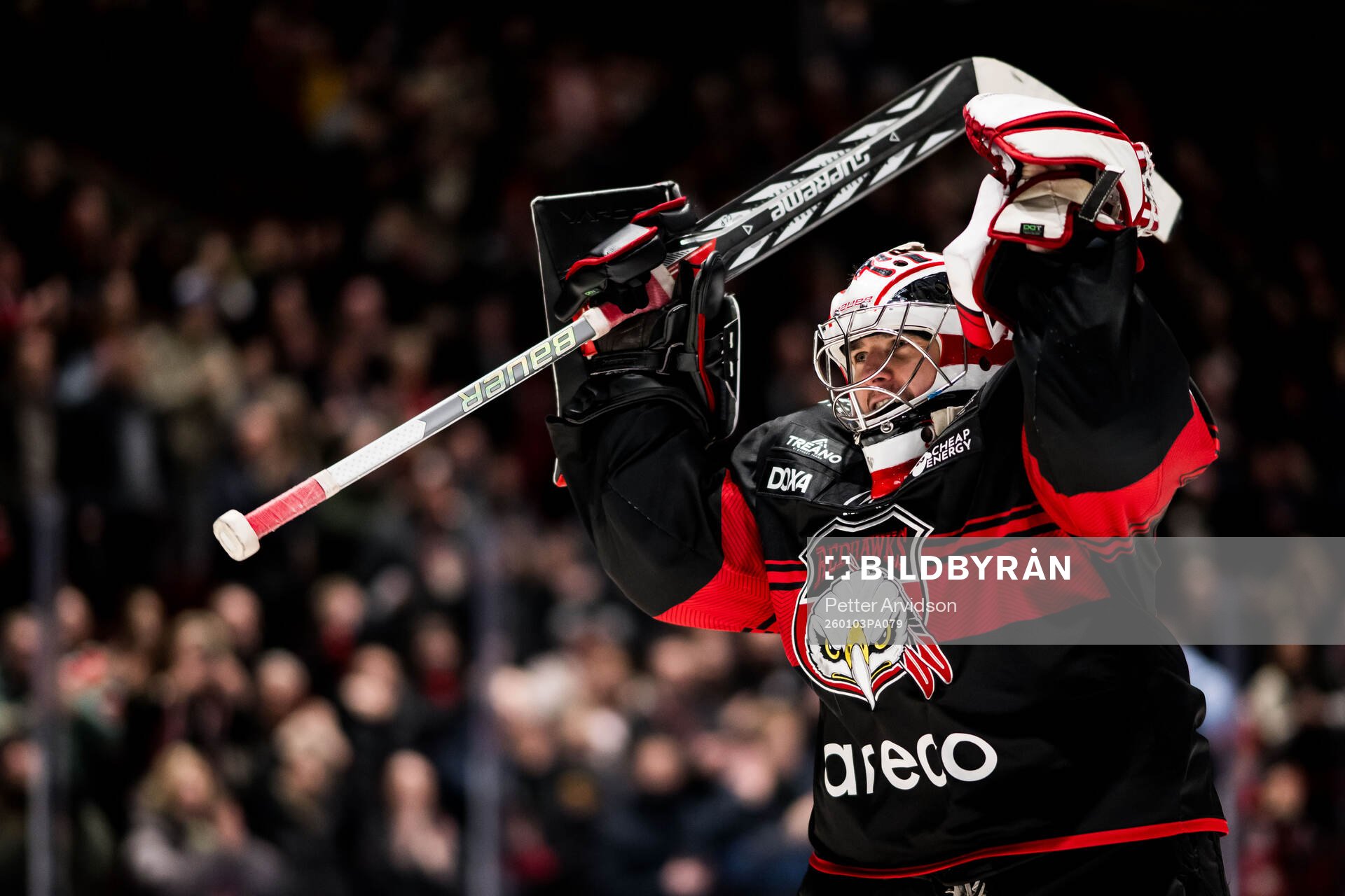 Malmö Redhawks målvakt Marek Langhamer jublar