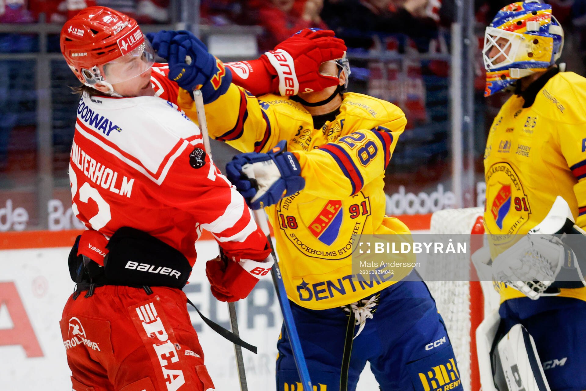 Timrås Edwin Annerstedt och Djurgårdens Gustav Lindström
