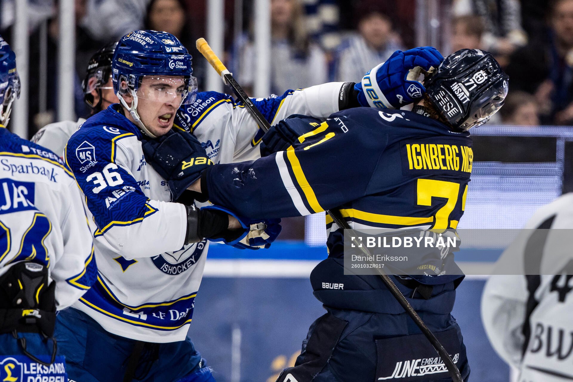 Leksands Stefan Milosevic och HV71s William Ignberg Nilsson