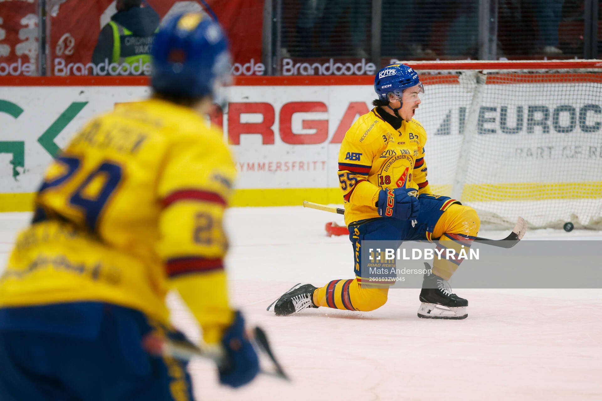 Djurgårdens Charles Hudon jublar