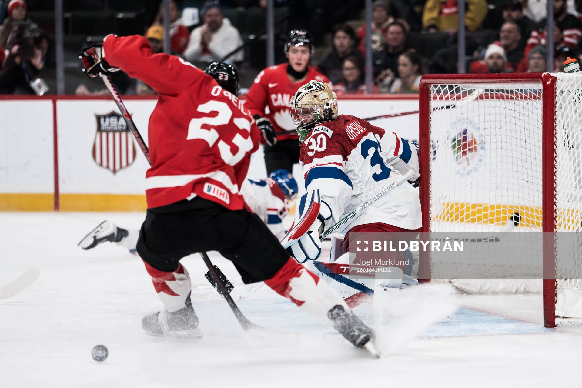 Sam O'Reilly of Canada and goaltender Michal Orsulak of