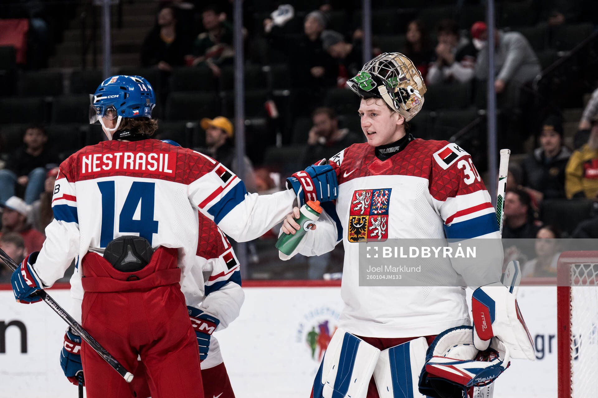 Vaclav Nestrasil and goaltender Michal Orsulak of Czech