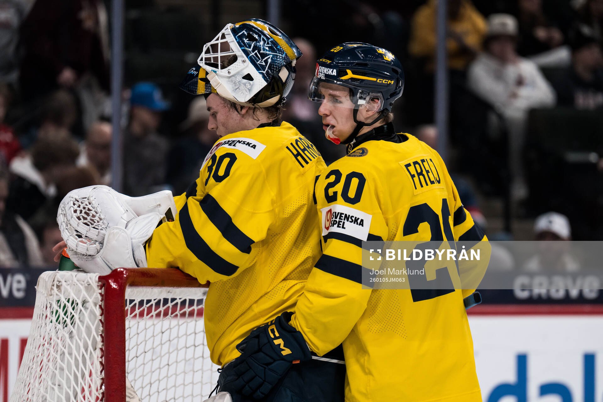 Goaltender Love Härenstam and Alfons Freij of Sweden