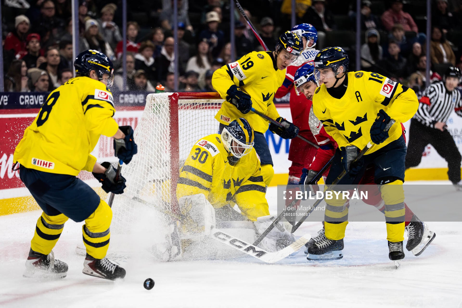 Felix Carell, goaltender Love Härenstam, William