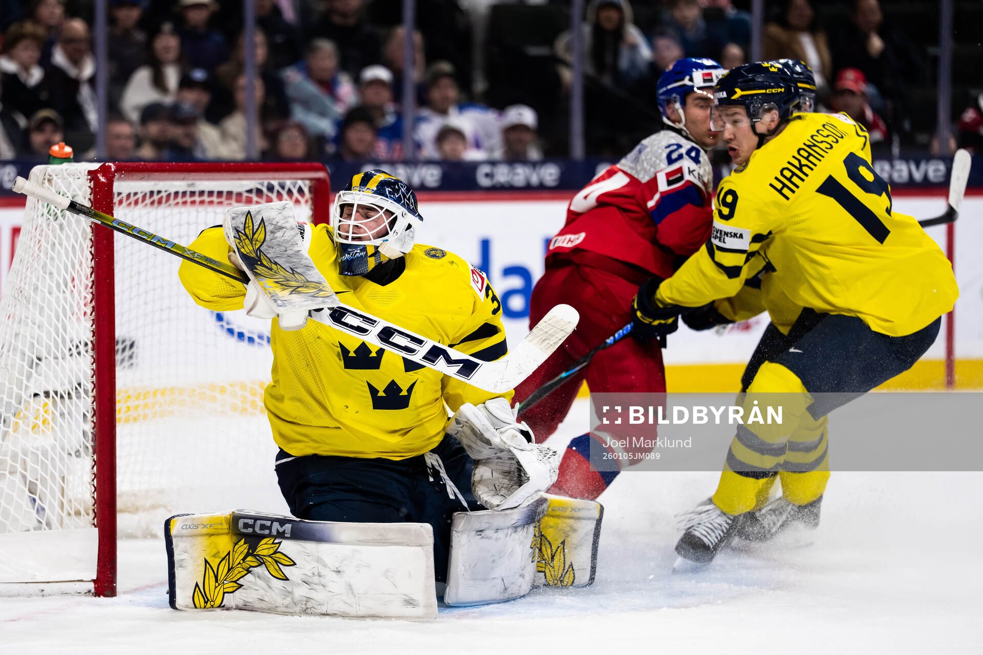 Goaltender Love Härenstam and William Håkansson of Sweden