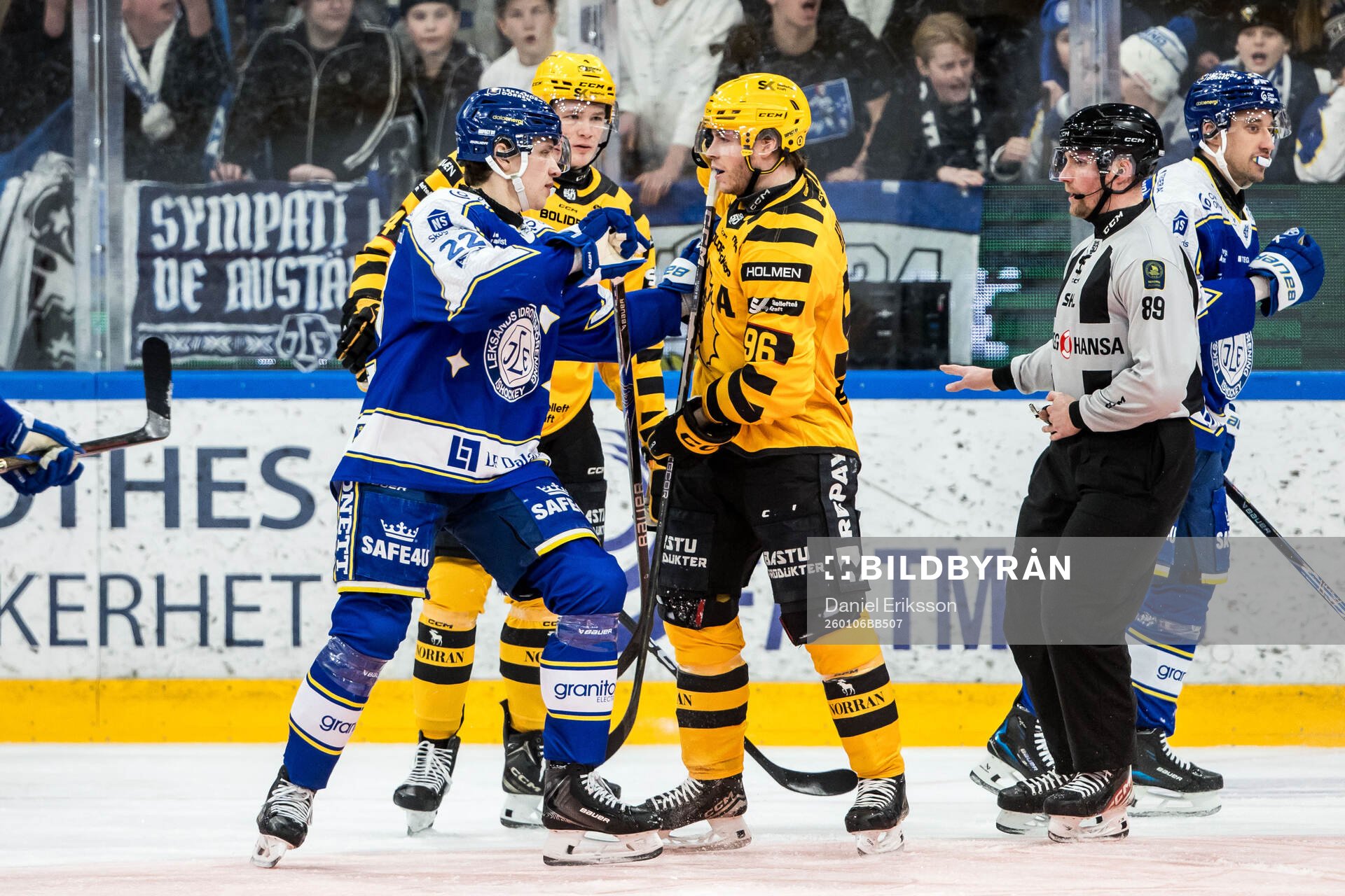 Leksands Lukas Vejdemo och Skellefteås Rickard Hugg